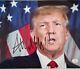 Donald Trump Autographed 8x10 With Certification