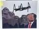 Donald Trump Mount Rushmore Big Signed Autographed Photo Authentic 8x10 Coa T7