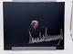 Donald Trump Rare Long Signed Autographed Photo Authentic 8x10 Coa