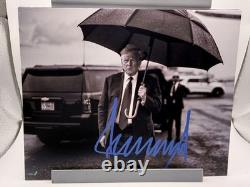 Donald Trump RARE Umbrella Signed Autographed Photo Authentic 8X10 COA