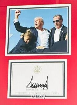 Donald Trump Signed Framed Display President Donald Trump Autographed Fight JSA