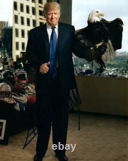 Donald Trump autographed 8x10 signed Photo Picture with COA