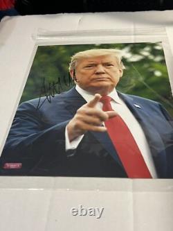 Dondald Trump 45th/47th President signed Photo with COA