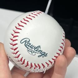 PRESIDENT DONALD TRUMP HAND SIGNED AUTOGRAPHED Baseball 45-47 Flag COA HOLOGRAM