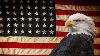 President Biden Signs 50 New Bills Into Law One Officially Making American Eagle National Bird