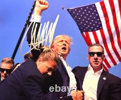 President DONALD TRUMP Signed 8x10 inch MAGA Original Authentic Autograph withCOA