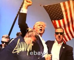 President DONALD TRUMP Signed 8x10 inch MAGA Original Authentic Autograph withCOA