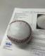 President Donald Trump & Ivana Trump Signed Baseball Jsa Loa Certified