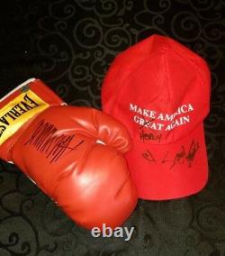 President Donald Trump Signed Boxing Glove Stormy Daniels Signed Maga Hat