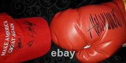 President Donald Trump Signed Boxing Glove Stormy Daniels Signed Maga Hat