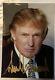 Real 5x3.5 Gold Sharpie Signature President Donald Trump Hand Signed Autograph