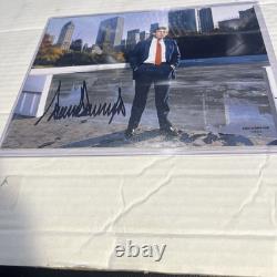 Signed Donald Trump Standing At The Base Of The New York Skyline Photo With Coa