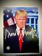 Coa Donald Trump Photo Maga Dédicacée Signée Affichage 45 Président Casquette Nice