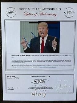 Donald J Trump 8x10 Photo Autographiée Signée Lettre d'Authenticité Authentique