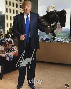 Donald Trump 45e Président Autographe Original Signé À La Main 8x10 Avecholo Coa