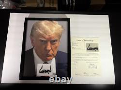 Donald Trump Président 12x16 Mat Découpé Autographié Encadré Signé USA RARE JSA