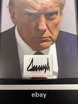 Donald Trump Président 12x16 Mat Découpé Autographié Encadré Signé USA RARE JSA