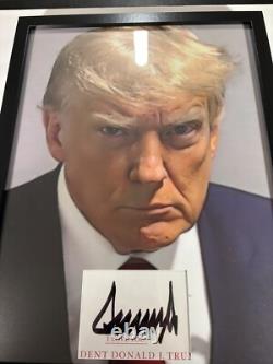 Donald Trump Président 12x16 Mat Découpé Autographié Encadré Signé USA RARE JSA
