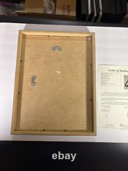 Donald Trump Président 12x16 Mat Découpé Autographié Encadré Signé USA RARE JSA