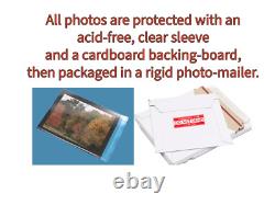 ÉTONNANT ! Donald TRUMP et Elon MUSK ont signé des autographes authentiques 8x10 MAGA avec COA