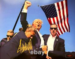MAGA ! Président DONALD TRUMP Signature authentique originale 8x10 avec COA