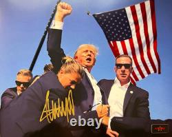 MAGA ! Président DONALD TRUMP Signature authentique originale 8x10 avec COA
