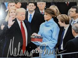 Melania Trump Première Dame Photo Matte 8x10 Signée Autographe 2016 avec COA Holo