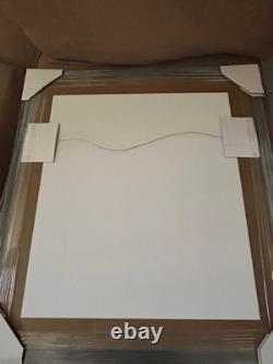 PHOTO DE COMBAT DU PRÉSIDENT DONALD TRUMP SIGNÉE ESSAI DE MEURTRE CADRE 23x26 JSA LOA COA