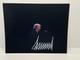 Photo Sign&eacute;e Et Authentique De Donald Trump Lors D'un Discours 8x10 Coa