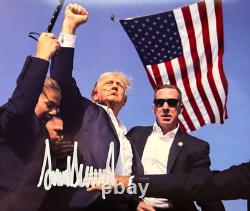 Président DONALD TRUMP A signé une photo 8x10 pouces MAGA Autographe Original Authentique avec COA