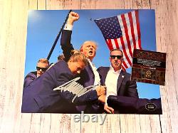 Président DONALD TRUMP Signature Original Authentique 8x10 avec Certificat COA