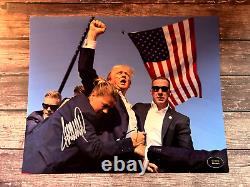 Président DONALD TRUMP a signé un autograph 8x10 original authentique avec certificat COA