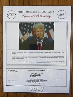 Président Donald Trump 8 X10 Photo signée Lettre d'authenticité authentique COA