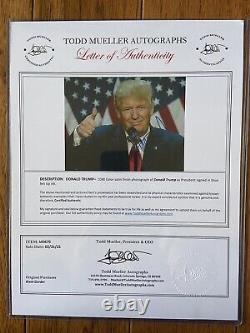 Président Donald Trump Photo 8 X10 Signée Lettre Authentique de Certification d'Authenticité COA
