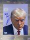 Robert O'neill A Signé La Photo De Donald Trump 8x10 Mug Shot Avec Psa/dna